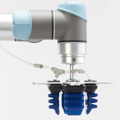Pinza di presa molle flessibile del robot per gli oggetti di forma irregolari
