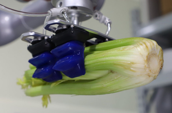Pinza di presa molle regolabile circolare del robot del gel di silice