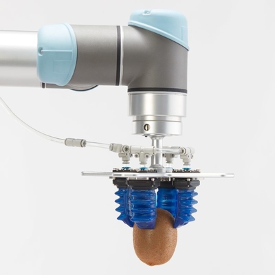 pinza di presa flessibile del robot 2100g che tratta gli oggetti irregolari